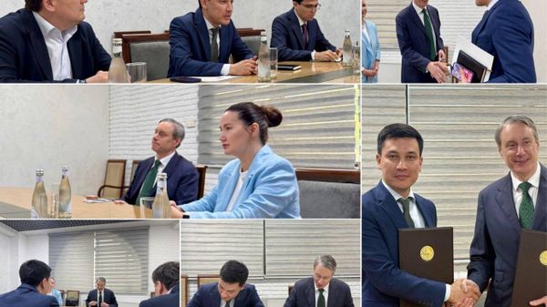 В Узбекистане создадут современную интегрированную систему земледелия, молочного животноводства и производства молочной продукции - Sputnik Узбекистан
