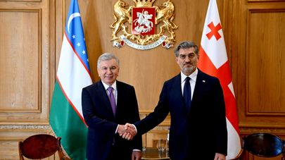 Переговоры президента Узбекистана Шавката Мирзиёева и президента Грузии Михаила Кавелашвили.