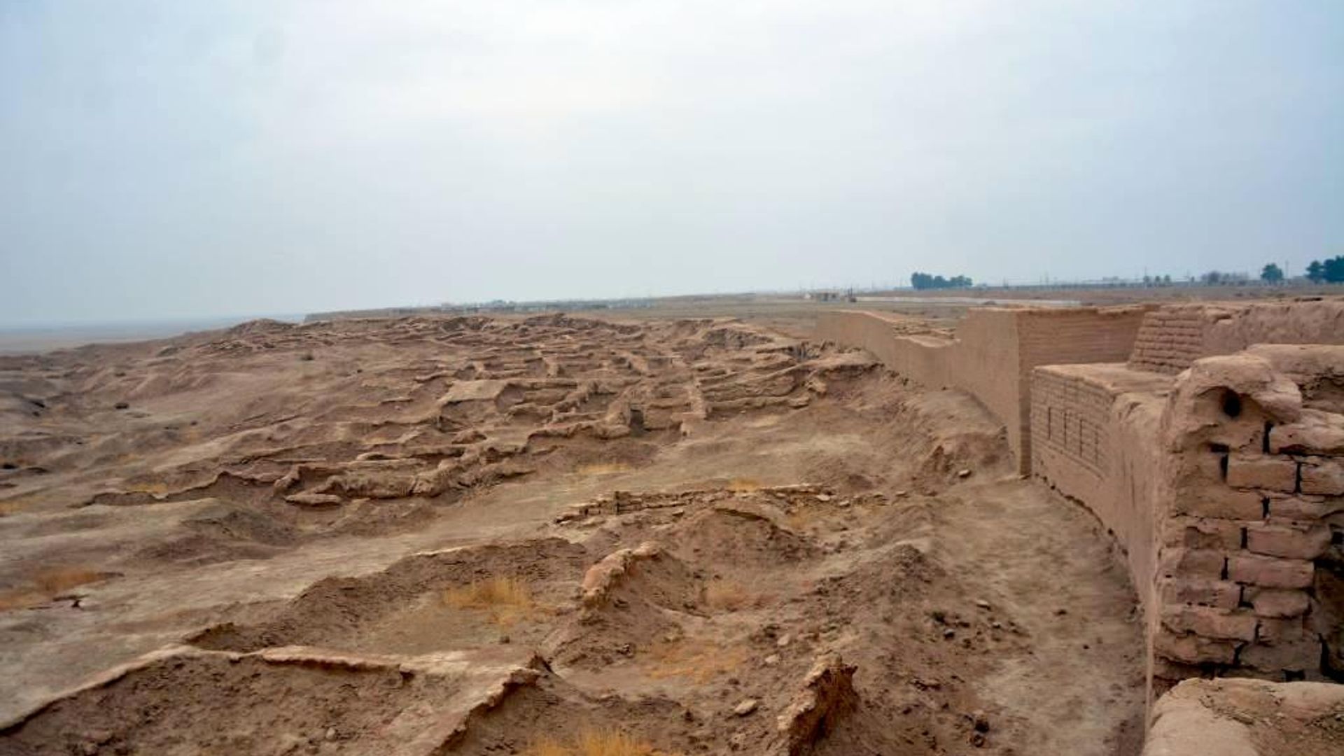 Na yuge Uzbekistana obnarujen redkiy obyekt epoxi ellinizma - Sputnik O‘zbekiston, 1920, 07.07.2026