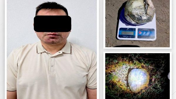 🟠 В Ургенче и Ташобласти пресекли попытки ввоза наркотиков в Узбекистан - Sputnik Узбекистан