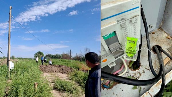 🟠В Каракалпакстане выявили незаконное использование электроэнергии на сумму более 1 млрд сумов - Sputnik Узбекистан