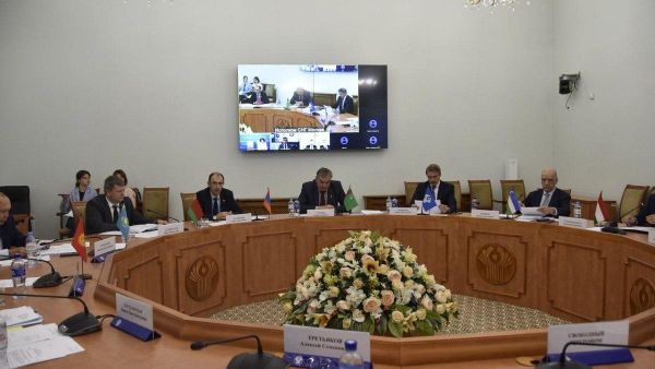 Комиссия по экономическим вопросам СНГ рассмотрела проекты концепции цифровой трансформации лесопромышленного комплекса стран содружества - Sputnik Узбекистан