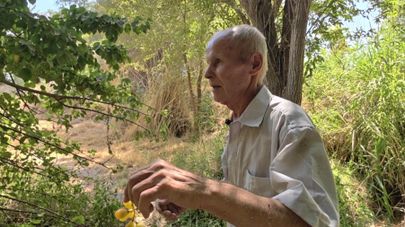 Человек, который создал лес: Александр Федин