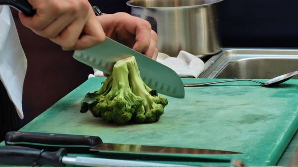 Bitva shef-povarov v Tashkente: gastronomcheskiy chempionat - Sputnik O‘zbekiston