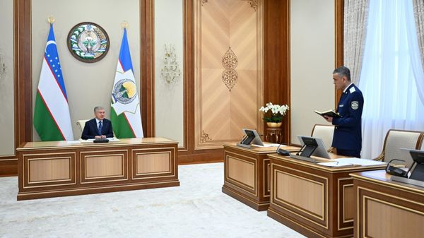 Президент ознакомился с презентацией по мерам развития животноводства и птицеводства - Sputnik Ўзбекистон