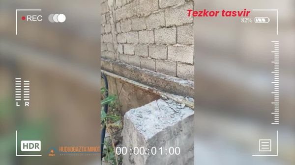 🟠 В Ташобласти выявили незаконное использование природного газа на 1 млрд сумов - Sputnik Узбекистан
