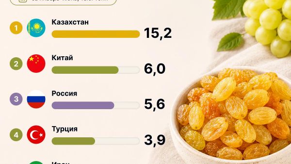 Узбекистан за первое полугодие 2026 года экспортировал изюм в 57 стран на сумму $60 млн - Sputnik Узбекистан