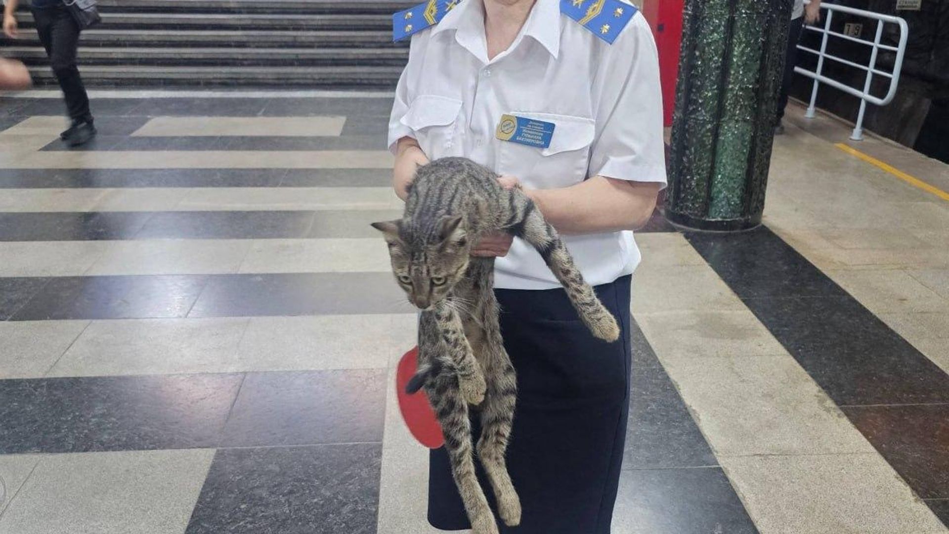 Ⓜ ⬛ В метро Ташкента на станции “Космонавтов” обнаружили кота Ⓜ ⬛ В метро Ташкента на станции “Космонавтов” обнаружили кота - Sputnik Узбекистан, 1920, 17.08.2026