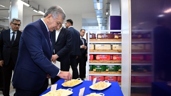 Президент ознакомился с деятельностью предприятия по производству молочной продукции
 - Sputnik Узбекистан