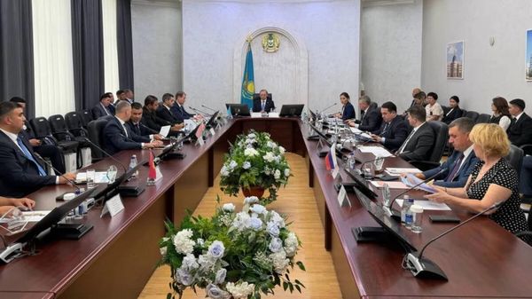 В Костанае прошла научно-практическая конференция Единый подход стран СНГ к профилактике детского дорожно-транспортного травматизма - Sputnik Узбекистан