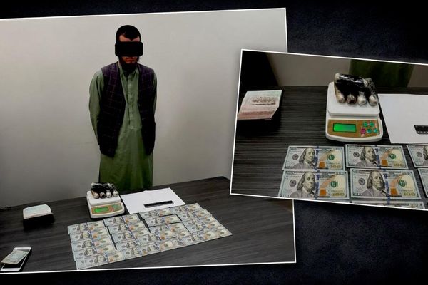 🟠 В Сурхандарьинской области изъяли более 3 кг наркотиков 🟠 В Сурхандарьинской области изъяли более 3 кг наркотиков - Sputnik Узбекистан