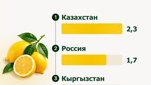 Казахстан стал крупнейшим покупателем узбекских лимонов среди стран ЕАЭС - Sputnik Узбекистан