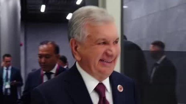 Шавкат Мирзиёев и Владимир Путин обсудили дальнейшее расширение двусторонних отношений - Sputnik Узбекистан