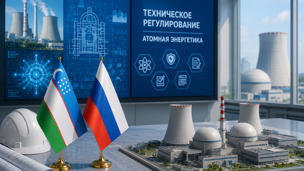 Узбекистан будет сотрудничать с российскими компаниями в техническом регулировании проектов в сфере атомной энергетики Узбекистан будет сотрудничать с российскими компаниями в техническом регулировании проектов в сфере атомной энергетики - Sputnik Узбекистан