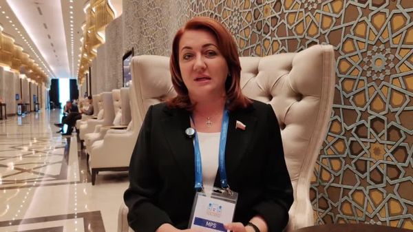 От Госуслуг до киберзащиты: сенатор РФ поделилась опытом цифровой защищенности - Sputnik Узбекистан