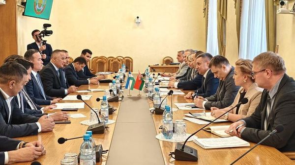Встреча министра сельского хозяйства и продовольствия Беларуси с хокимом Сурхандарьинской области Узбекистана - Sputnik Узбекистан