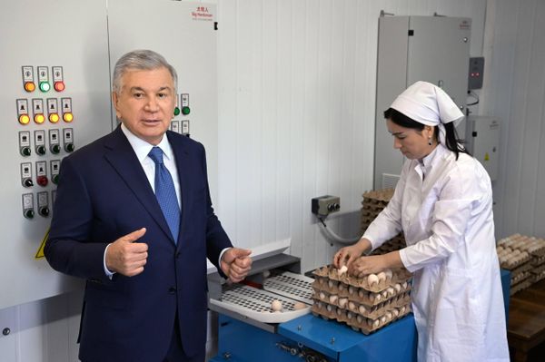 Шавкат Мирзиёев также ознакомился с деятельностью предприятия Кегейли барака наслли парранда. - Sputnik Ўзбекистон