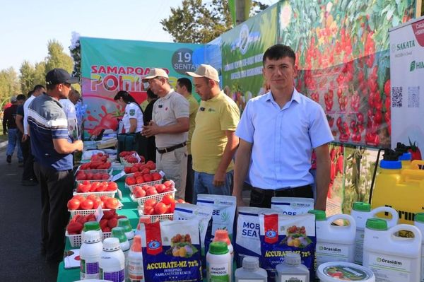 Сладкий, спелый помидор: в Самарканде проходит необычный фестиваль Сладкий, спелый помидор: в Самарканде проходит необычный фестиваль - Sputnik Узбекистан