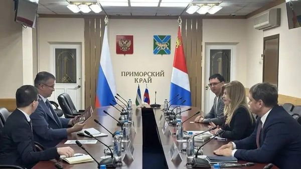 Узбекистан и Приморский край подвели итоги сотрудничества в сфере культуры и молодежной политики - Sputnik Узбекистан
