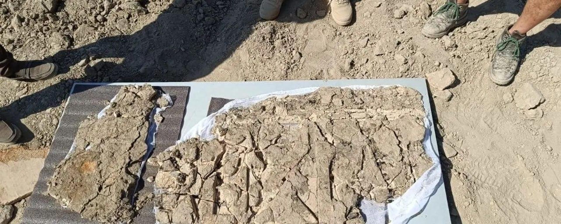 В Бухаре обнаружили уникальную ганчевую панель эпохи Саманидов В Бухаре обнаружили уникальную ганчевую панель эпохи Саманидов - Sputnik Узбекистан, 1920, 29.09.2026