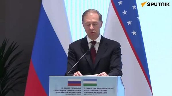 С начала 2026 года субъекты РФ и их партнеры из Узбекистана провели порядка сотни совместных мероприятий — Мантуров - Sputnik Узбекистан