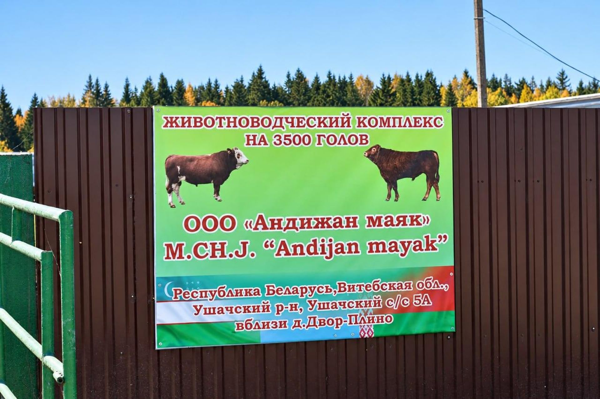 В Витебской области открылось общество с ограниченной ответственностью Андижан маяк. В Витебской области открылось общество с ограниченной ответственностью Андижан маяк. - Sputnik Ўзбекистон, 1920, 17.10.2026