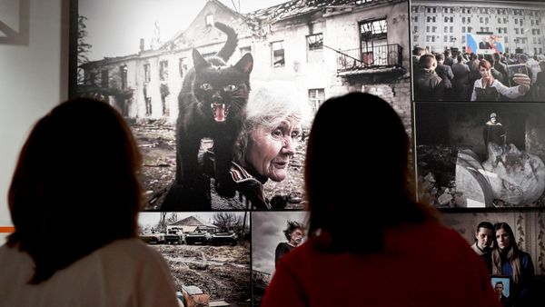 Открытие выставки конкурса фотожурналистики имени Андрея Стенина - Sputnik Узбекистан