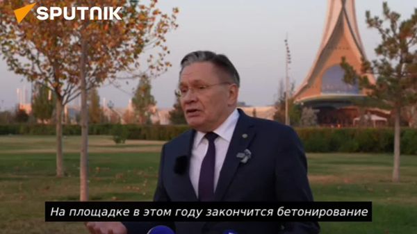 Масштабные работы на строительстве АЭС в Узбекистане начнутся в 2027 году — Лихачёв - Sputnik Узбекистан