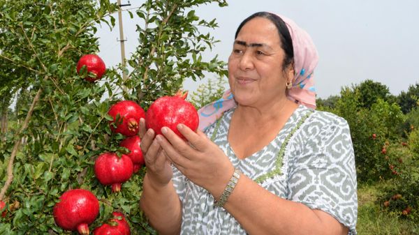 Mastura Sayfutdinova - Sputnik O‘zbekiston