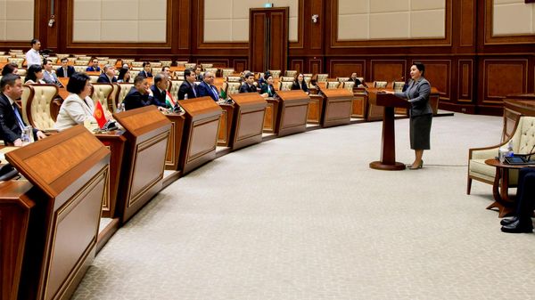 Танзила Нарбаева встретилась с молодыми лидерами Центральной Азии и Азербайджана - Sputnik Узбекистан