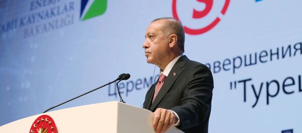 Рабочий визит президента РФ В. Путина в Турцию - Sputnik Узбекистан