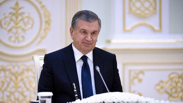 Шавкат Мирзиёев принял делегацию Конгресса США - Sputnik Узбекистан