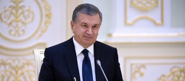 Шавкат Мирзиёев принял делегацию Конгресса США Шавкат Мирзиёев принял делегацию Конгресса США - Sputnik Ўзбекистон