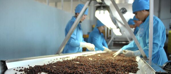 Предприятие Samrin Trade по производству сухофруктов в Самарканде Предприятие Samrin Trade по производству сухофруктов в Самарканде - Sputnik Ўзбекистон