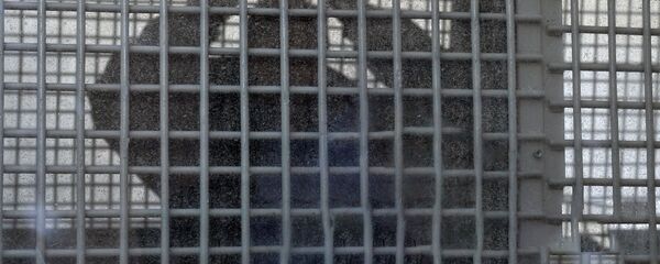 Заключенный за решеткой - Sputnik Ўзбекистон