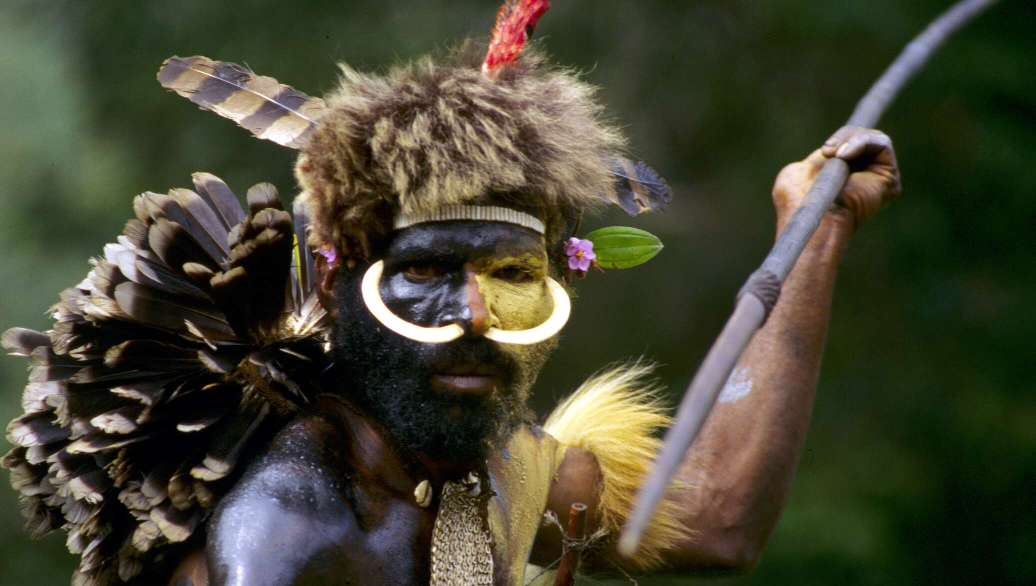 Аборигены малайзии 4 буквы. Аборигены. Воинственный абориген.