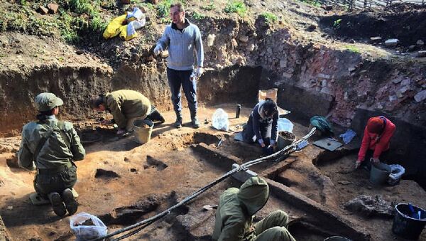 Череп мамонта с кладом внутри обнаружен археологами на Зарайской стоянке - Sputnik Узбекистан