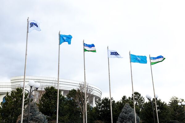 Мирзиёев: Центральная Азия не может оставаться в стороне от мировых проблем Мирзиёев: Центральная Азия не может оставаться в стороне от мировых проблем - Sputnik Узбекистан