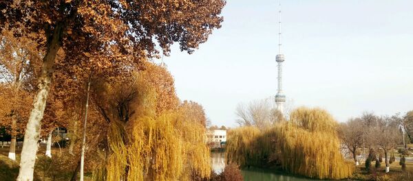 Телевизионная башня в Ташкенте - Sputnik Узбекистан