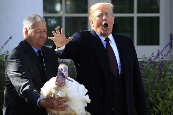 Президент США Дональд Трамп помиловал индейку в День благодарения в саду перед Белым домом - Sputnik Узбекистан