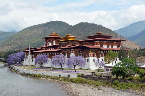 Пунакха дзонг. Королевство Бутан. - Sputnik Узбекистан