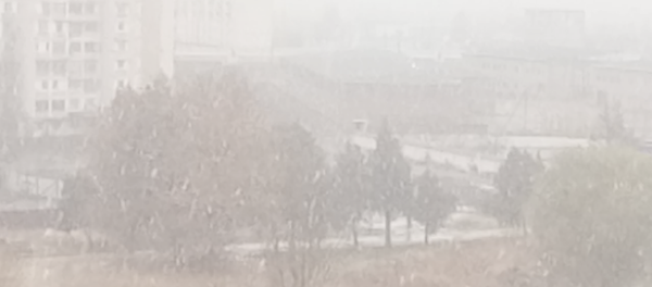 Снегопад в Ташкенте Снегопад в Ташкенте - Sputnik Ўзбекистон