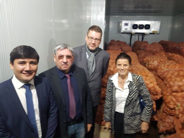 Растет ли в Андижане картофель по французской технологии, проверила посол Растет ли в Андижане картофель по французской технологии, проверила посол - Sputnik Узбекистан