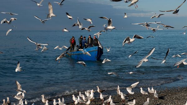 Рыбаки возвращаются после ловли рыбы в Черном море, Сочи - Sputnik Узбекистан