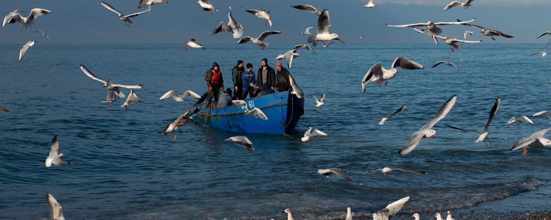 Рыбаки возвращаются после ловли рыбы в Черном море, Сочи - Sputnik Узбекистан, 1920, 25.09.2021