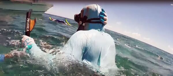 Акула укусила дайвера - Sputnik Узбекистан