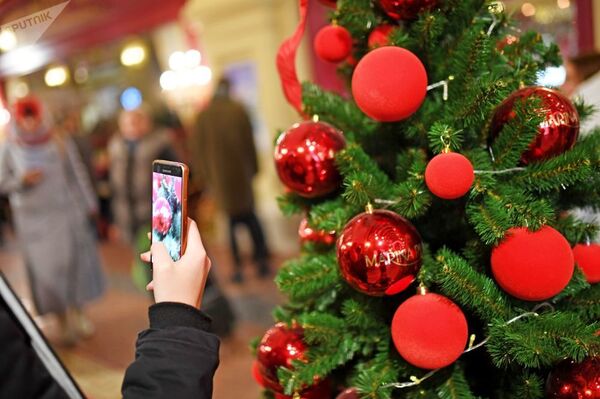 Где установят главную новогоднюю елку Узбекистана Где установят главную новогоднюю елку Узбекистана - Sputnik Узбекистан