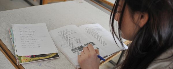 Урок русского языка в институте иностранных языков  - Sputnik Узбекистан