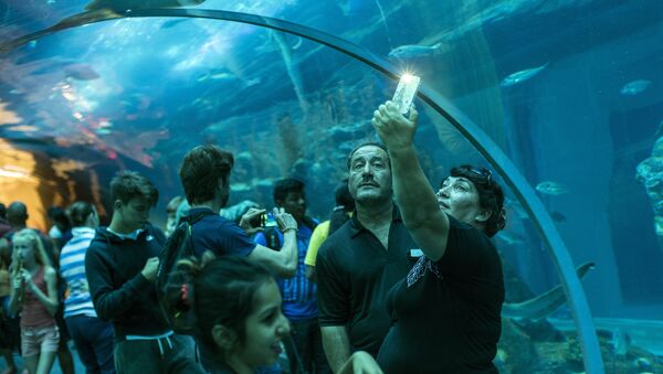 Дубайский Океанариум и подводный зоопарк - Sputnik Ўзбекистон