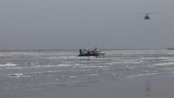 Спасатели сняли двух детей с оторвавшейся льдины под Хабаровском - Sputnik Узбекистан